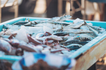 Fresh fish market offering a vibrant array of seafood on a sunny day in a bustling coastal town, attracting locals and tourists alike with its tantalizing selection