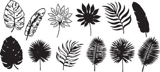 Tropical Leaf Vector Set – Botanical, Plant, Nature, Palm, Jungle, Exotic, Eco, Organic, Decorative, Black, Outline, Minimal, Flat, Art, Design, Illustration, Collection, Abstract, Icon
