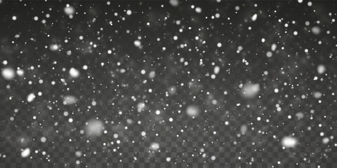 Snowfall Background With White Falling Snowflakes And Soft Winter Overlay Effect On Transparent Design For Holiday And Seasonal Projects. Vector Illustration