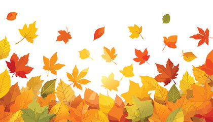 Fototapeta premium Autumn leaves background