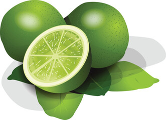whole and half green lemon illustration