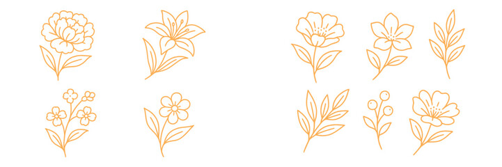 Set of elegant botanical line art with various flowers and leaves for minimalist design elements and floral decoration