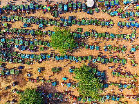 Chapai Nawabganj, Bangladesh - 13 June 2023: Aerial view of a bustling mango market, vibrant with rows of green mangoes, carts, and umbrellas under the summer sun.