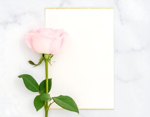 Pink rose and blank card on marble