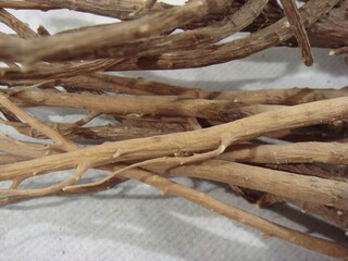 Bupleurum falcatum, called Siho in Korea, is a traditional herbal root valued for reducing fever, relieving inflammation, supporting liver health, and easing stress symptoms.