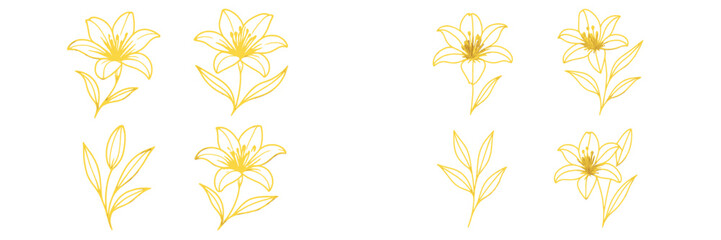 Gold lily flower line art set with botanical elements isolated on a white background for elegant design