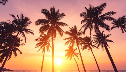 Obraz premium Silhouette palm trees at sunset over ocean