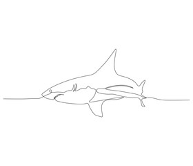 One continuous line drawing of shark. single line of sea creature concept. great white shark fish illustration. editable outline