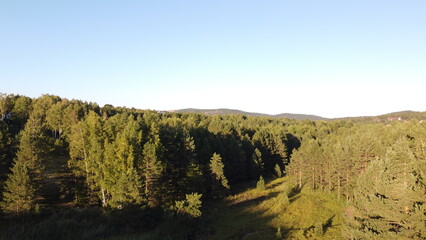 Aerial view of a green meadow with trees in the background