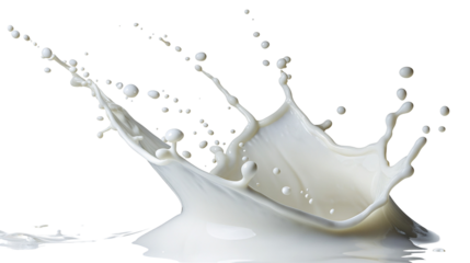 Dynamic milk splash captured perfectly in a high speed action freeze photography with crisp details