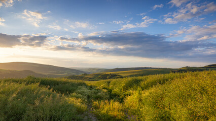 Blick &uuml;ber das Alsenztal am Abend