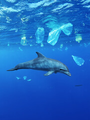 Fototapeta premium Dolphin swimming near plastic bags in polluted ocean