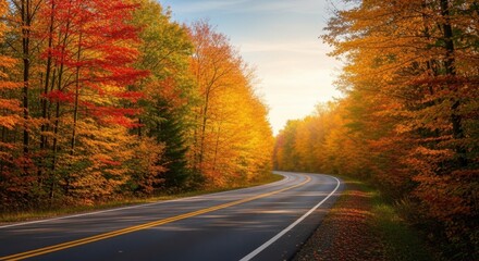 Obraz premium Winding Road Through Autumn Forest with Colorful Foliage.
