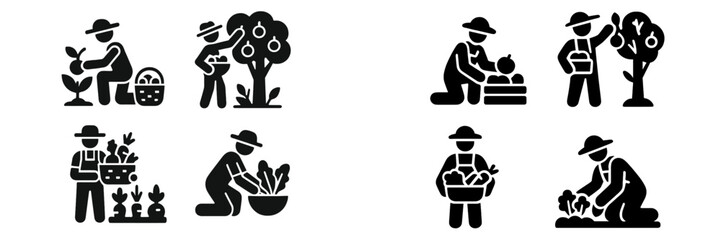 Farmer working in the field, planting seedlings, and harvesting fresh organic produce from the garden