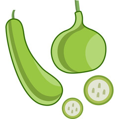 Long Green Gourd