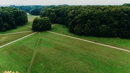 Aerial view of a green meadow with intersecting walking paths leading into a dense forest, creating a natural crossroad in the landscape.