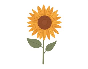 Obraz premium A simple illustration of a sunflower