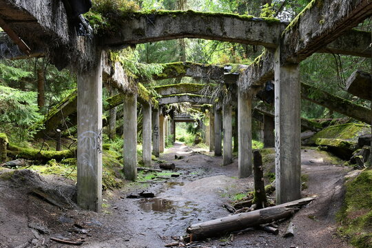 Remains of a tin mine and a nearby prisoner of war camp from World War II.