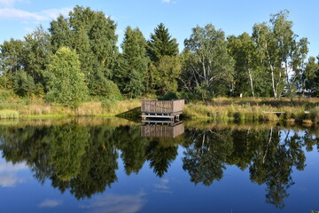 Fototapeta premium Natural monument Pernink peat bog