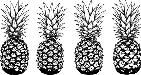 Pineapple outline illustration. Vector doodle sketch hand drawn illustration
