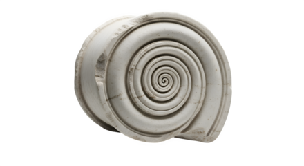 Fossilized ammonite shell isolated on transparent background, an extinct marine cephalopod mollusc that lived millions of years ago in the mesozoic era