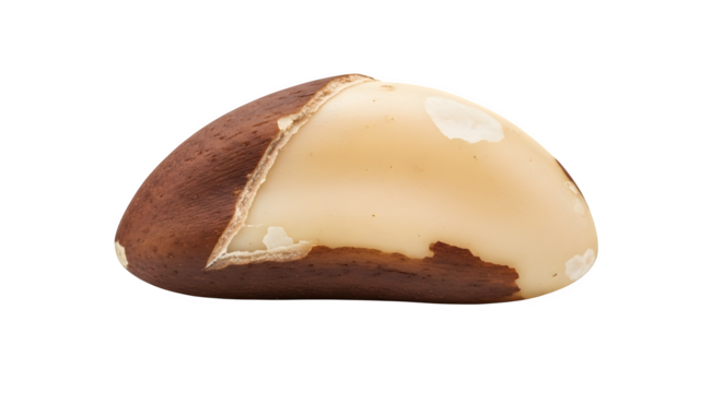 A single, shelled brazil nut, revealing its smooth, creamy texture and rich, earthy color, isolated on transparent background for a clear view