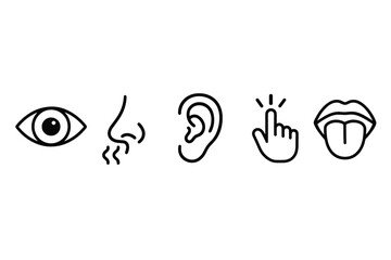Simple icons representing human senses: sight, smell, hearing, touch, taste