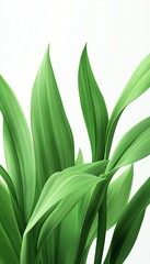 Obraz premium Vibrant green leaves cascading gracefully against a clean white background, showcasing nature's elegance and beauty.