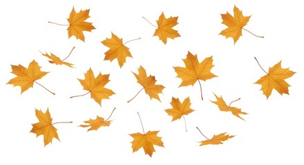 Hojas de hojas de otoño cayendo - Representación 3D