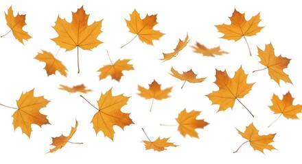 Hojas de hojas de otoño cayendo - Representación 3D