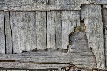 Texture of old, weathered, and broken grey wood. Abstract grunge background with splintered planks.