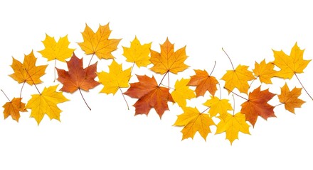 Fototapeta premium Borde de la hoja de otoño. Onda de hojas que caen.