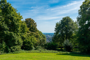 Lush green landscape overlooks a vibrant city skyline under a clear blue sky in summer
