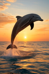 Dolphin Jumping Gracefully Against a Vibrant Sunset Over the Ocean