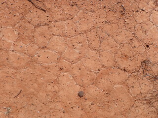 Australian dried soil and biocrust
