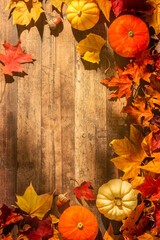 Autumn still life with pumpkins.Thanksgiving day or autumn pumpkin holiday background