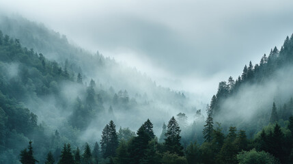 Lush green forest and mountain peaks enveloped in a thick, dreamy mist.