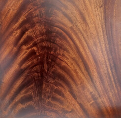 crotch mahogany wood texture background