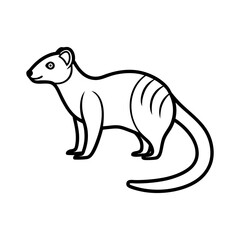 Banded Mongoose Animal Outline Illustration on White Background