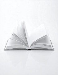 Open book, blank pages (2)