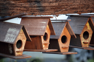 Charming Wooden Birdhouses Hanging in Natural Outdoor Setting