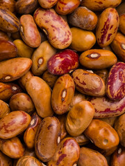 Close up of dry pinto beans with brown and red speckled patterns