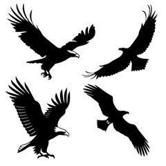 A collection of four black eagle silhouettes in various flying poses against a clean white background showcasing majestic avian flight and freedom