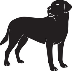 A dog stands still—loyal even in shadow silhouette design