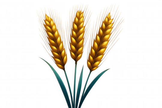 Golden wheat ears with green leaves, symbolizing agricultural abundance, crop yield, and natural grain harvesting against transparent backdrop