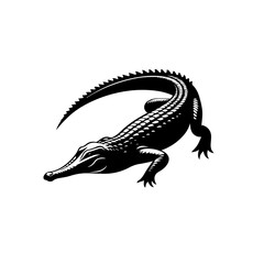 Crocodile Vector Illustration – Ferocious Wildlife Reptile Design