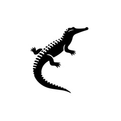 Crocodile Vector Illustration – Ferocious River Reptile Design