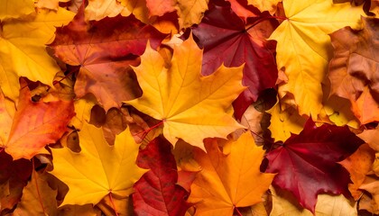 Obraz premium Autumn leaves carpet (1)