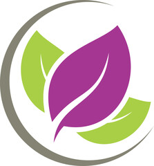 vector illustration of a leaf