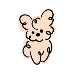 Cute doodles. Fluffy dog. Poodle, lapdog, spitz. Minimalistic illustration, children's print.